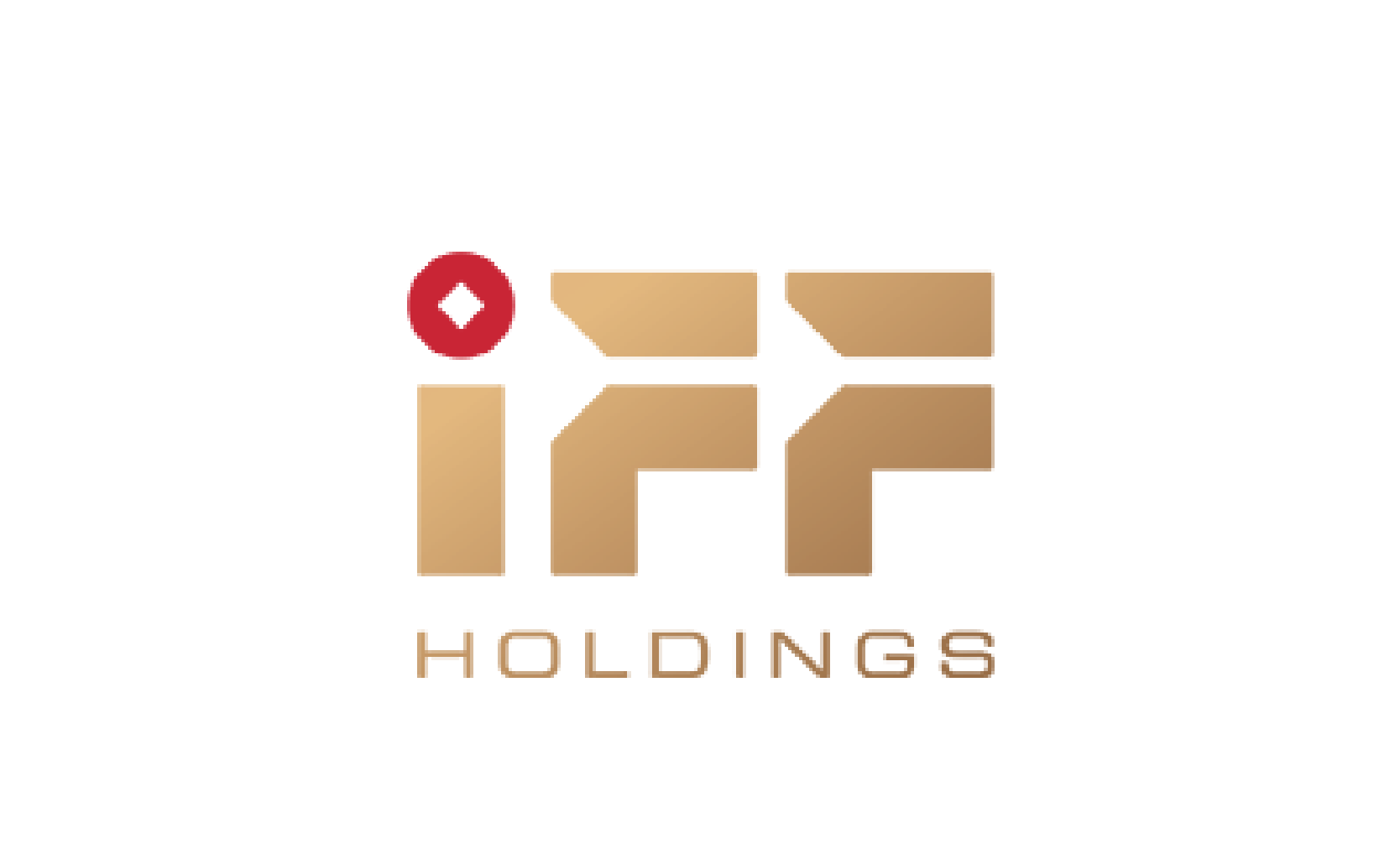 IFF HOLDINGS